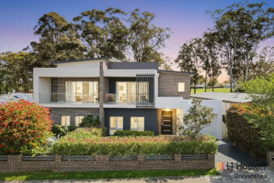 25 Carnation Street, Greystanes, NSW 2145