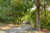 27/1 Hillview Crescent, Tuggerah, NSW 2259-Image