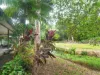 27 Kwila Street, Mission Beach, Qld 4852-Image