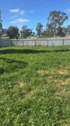 28 Mainwaring Crescent, Davoren Park, SA 5113-Image
