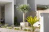 34 Bowden Street, Cabramatta, NSW 2166-Image