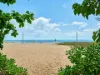 36 Best Street, Yorkeys Knob, Qld 4878-Image