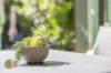 3B Neptune Place, West Pennant Hills, NSW 2125-Image