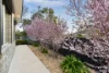 40B Hurley Street, Mawson, ACT 2607-Image