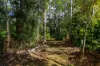 48 Spring Myrtle Avenue, Nambour, Qld 4560-Image