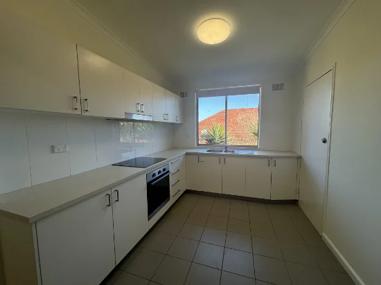 53 Macpherson Street, Waverley, NSW 2024