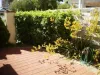 53 Rushton Street, Burswood, WA 6100-Image