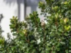 54A Ocean View Road, Gorokan, NSW 2263-Image