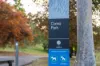 5A Bruce Street, Toorak, Vic 3142-Image
