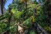 68a Pickworth Street, Upper Mount Gravatt, Qld 4122-Image