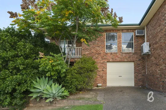 6A Lloyd Jones Drive, Singleton, NSW 2330