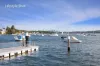 7 Derby Street, Vaucluse, NSW 2030-Image