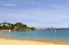 7 Derby Street, Vaucluse, NSW 2030-Image
