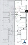 77A Malachite Street, Chisholm, NSW 2322-Floorplan