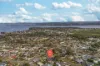 79a Coonanga Avenue, Halekulani, NSW 2262-Image