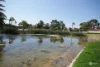 7A Dress circle, Warnbro, WA 6169-Image