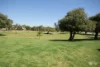 7A Dress circle, Warnbro, WA 6169-Image