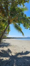9 Little Reef Street, Port Douglas, Qld 4877-Image