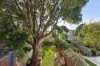 90a Denison Road, Lewisham, NSW 2049-Image