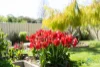 99A Saint Helens Park Drive, St Helens Park, NSW 2560-Image