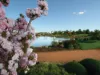 Lot 9 14 Bellman Circuit, Dubbo, NSW 2830-Image