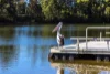 unit 216/46 David Low Way, Diddillibah, Qld 4559-Image