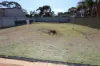 33 Larkin Street, Kambalda East WA 6442-Image