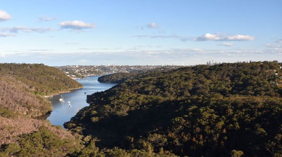 McGrath - Forestville - Real Estate Agency