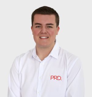 Ethan Bliss - Real Estate Agent