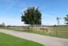 104 Back Boisdale Road, Boisdale, Vic 3860-Image