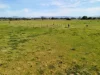 104 Back Boisdale Road, Boisdale, Vic 3860-Image