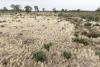 13 Flowerday Lane, Murrabit West VIC 3579-Image