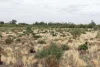 13 Flowerday Lane, Murrabit West VIC 3579-Image