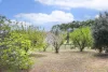 1472 Osmington Road, Osmington, WA 6285-Image