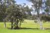 1472 Osmington Road, Osmington, WA 6285-Image