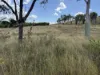 2, 101 Morgan Street / Kabra Road, Kabra, Qld 4702-Image