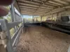 2, 101 Morgan Street / Kabra Road, Kabra, Qld 4702-Image