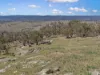 2027 Ophir Road, Rock Forest, NSW 2795