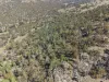 2027 Ophir Road, Rock Forest, NSW 2795-Image