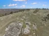 2027 Ophir Road, Rock Forest, NSW 2795-Image