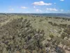 2027 Ophir Road, Rock Forest, NSW 2795-Image