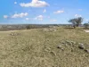 2027 Ophir Road, Rock Forest, NSW 2795-Image