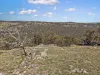 2027 Ophir Road, Rock Forest, NSW 2795-Image
