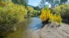 2123 Kiewa Valley Highway, Kergunyah, Vic 3691-Image