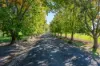 2123 Kiewa Valley Highway, Kergunyah, Vic 3691-Image