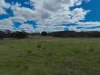 213 Bundong Lane, Lake Bathurst, NSW 2580-Image
