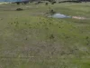 213 Bundong Lane, Lake Bathurst, NSW 2580-Image