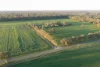 220 Bridge Road, Toolamba, Vic 3614-Image