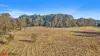 236 Hanrahans Lane, Black Springs, NSW 2787-Image