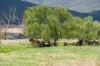 2712 Gundowring Road, Upper Gundowring, Vic 3691-Image